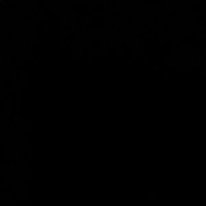 Meet your Posher, Darnell